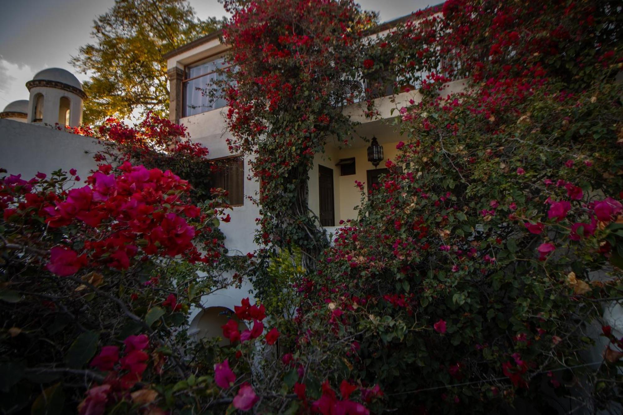Hotel Casa San Miguel San Miguel de Allende Eksteriør billede