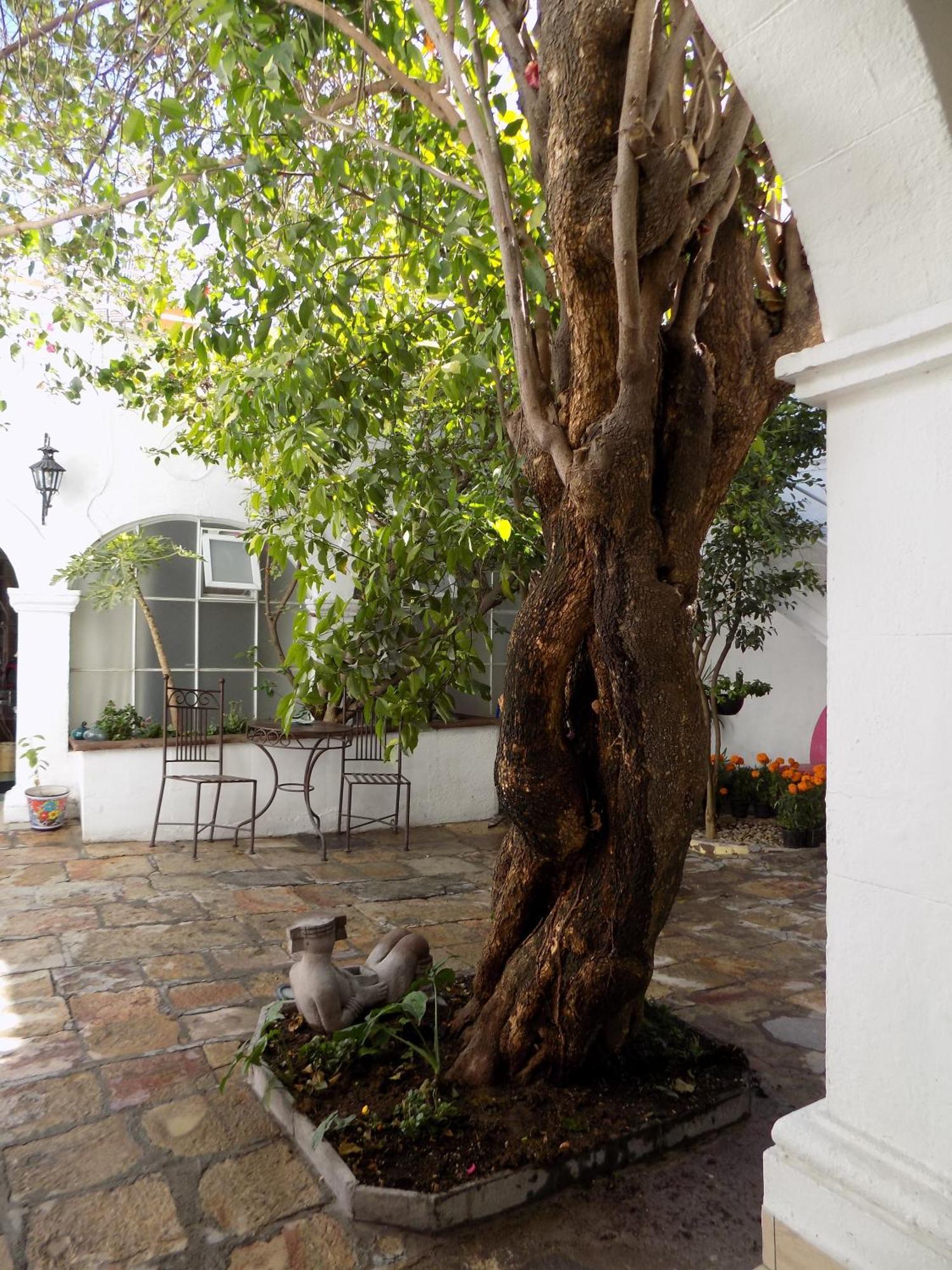 Hotel Casa San Miguel San Miguel de Allende Eksteriør billede