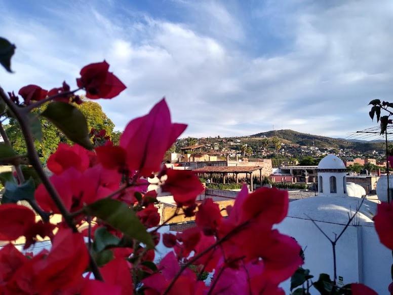 Hotel Casa San Miguel San Miguel de Allende Eksteriør billede